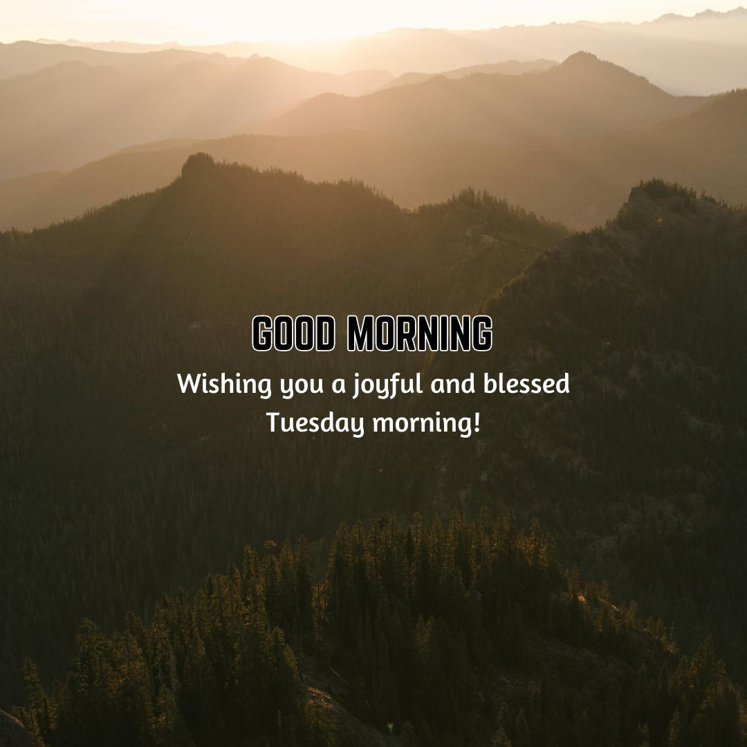 good morning tuesday gif images