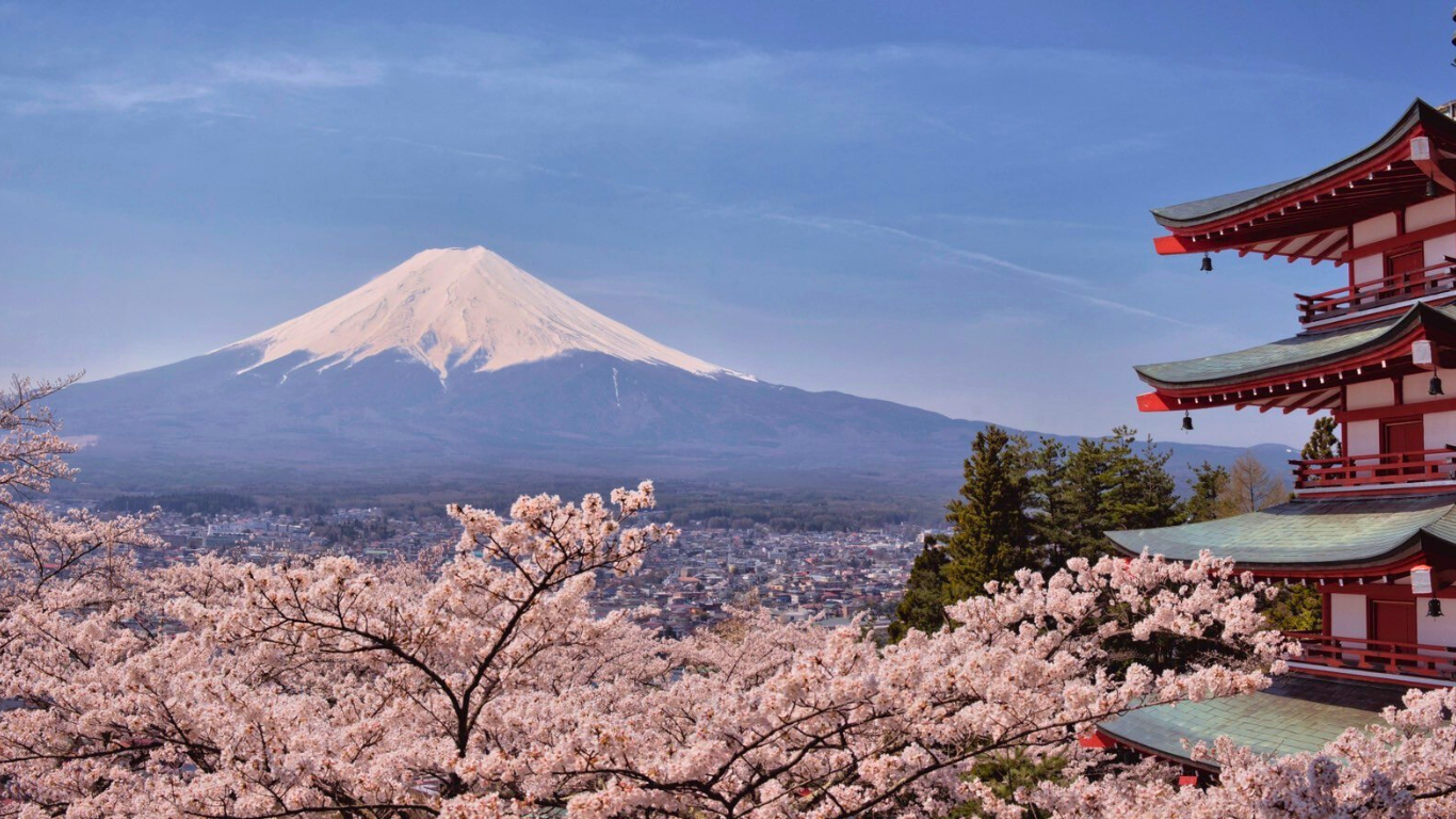 Cherry Blossom Season in Japan