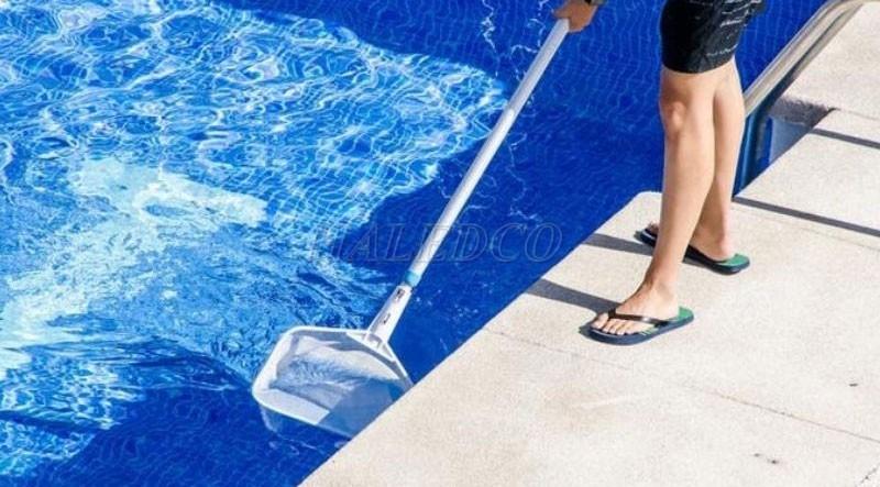 Cách ngăn ngừa rêu mọc trên mặt đèn hồ bơi