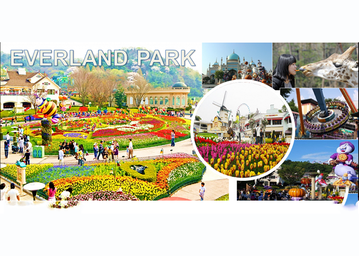 Khám phá Everland- công viên giải trí lớn nhất Hàn Quốc