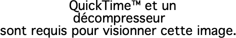 image.pdf