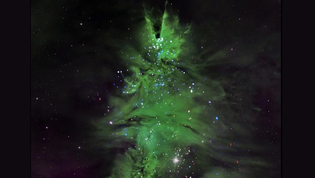 NASA tiết lộ cụm sao ‘Cây thông Noel’ trong Ngân hà của chúng ta!