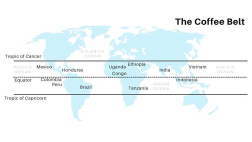 The Coffee Belt - Why do coffee beans tend to grow in this region? –  Espresso Outlet LLC