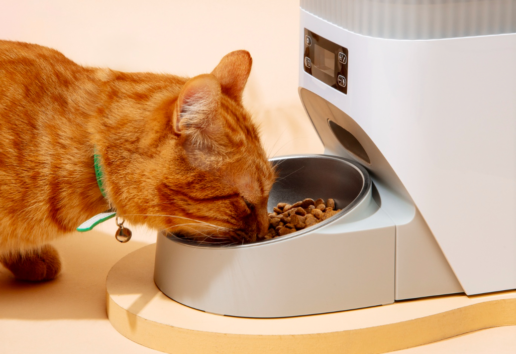 automatic cat feeder