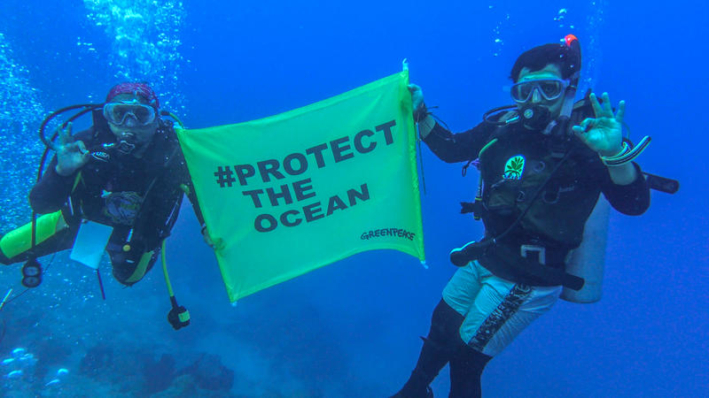 Underwater two divers hold a small banner that says #ProtectTheOcean