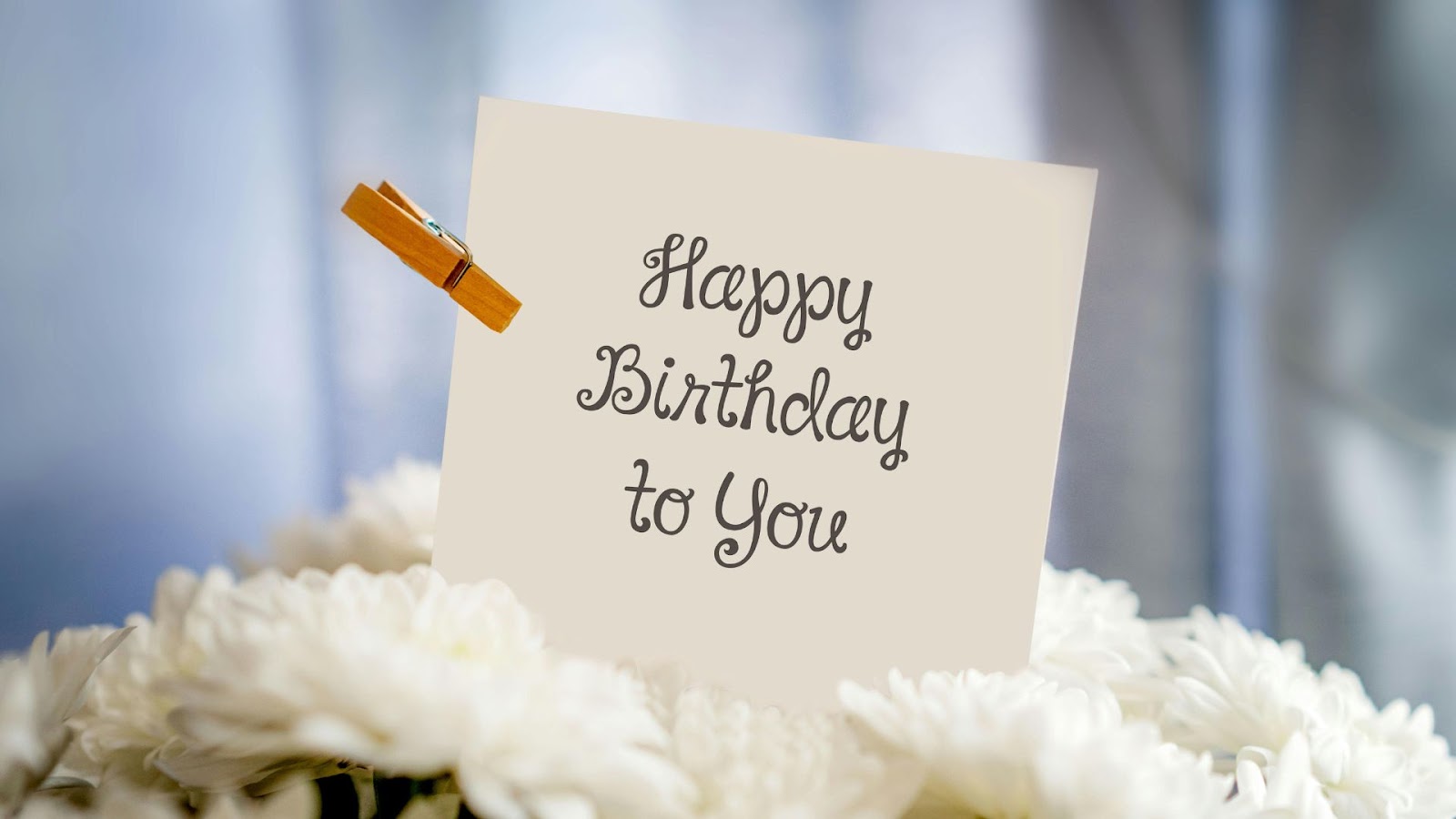 Whether your grandson is five or fifty, he will appreciate your birthday wishes just as much as any gift.&nbsp;