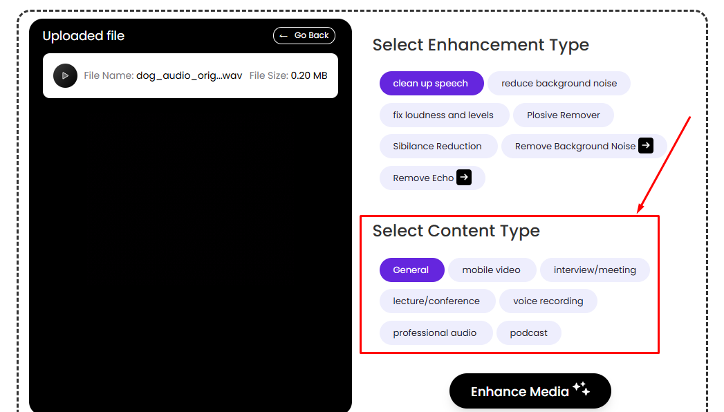 Voice Enhancer