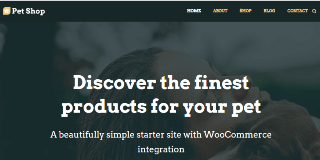Neve WordPress Theme