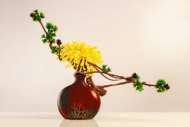 Ikebana bonsai tree