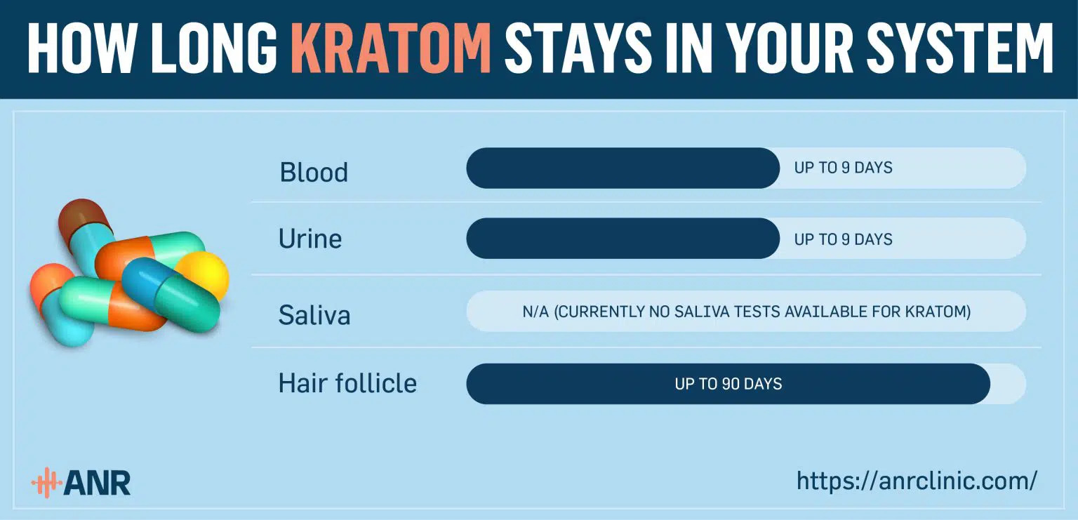 How Long Does Kratom Stay in Your System? - ANR Clinic