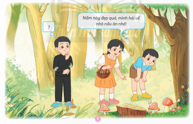 BÀI 22: ÔN TẬP CHỦ ĐỀ NẤM