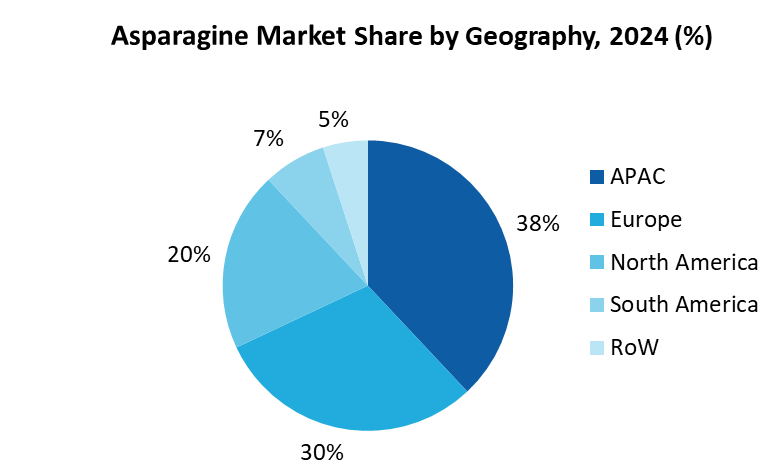 Asparagine Market