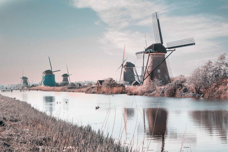 A group of windmills next to a body of water

Description automatically generated