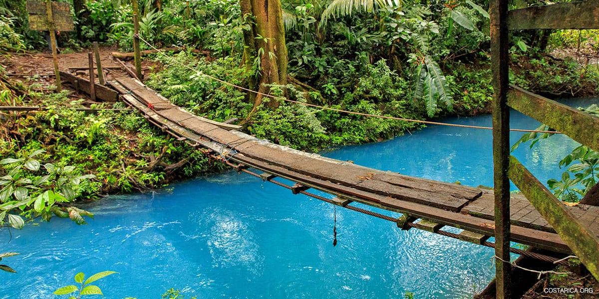 Selva de Costa Rica