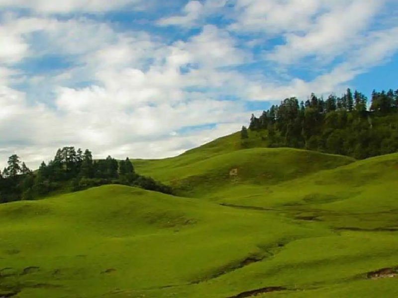 Dayara Bugyal trek