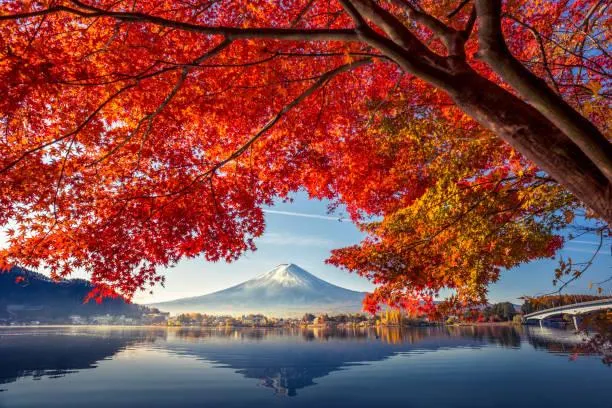 25 Nature Moments That Deserve a Second Look, remarkable nature, photo moments, nature, forest, landscape, natural magic, scenic impact