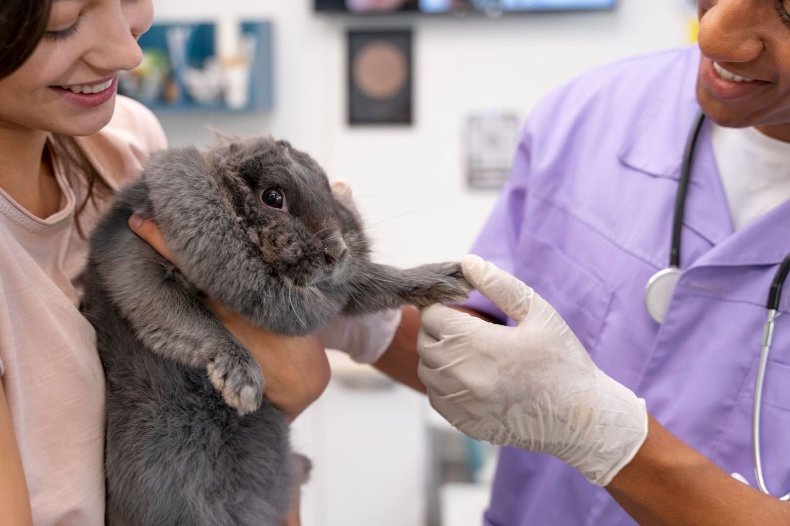 cuanto-gana-un-veterinario-en-colombia