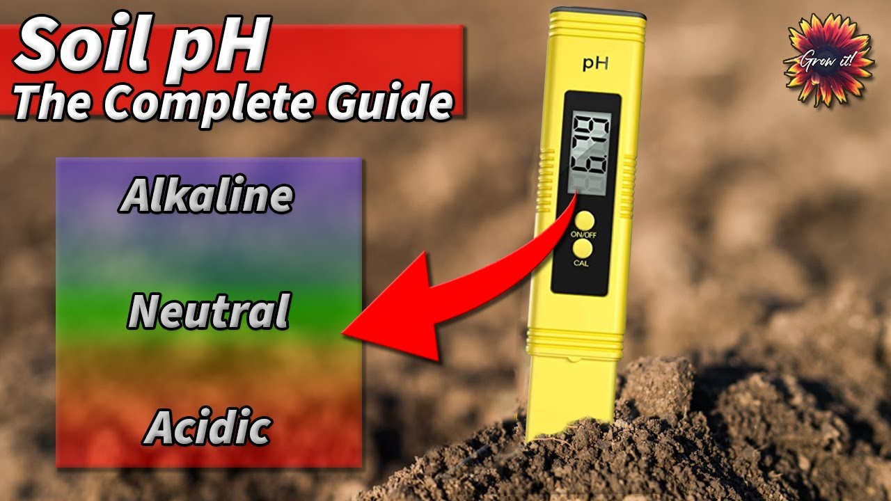 How to Test Soil pH