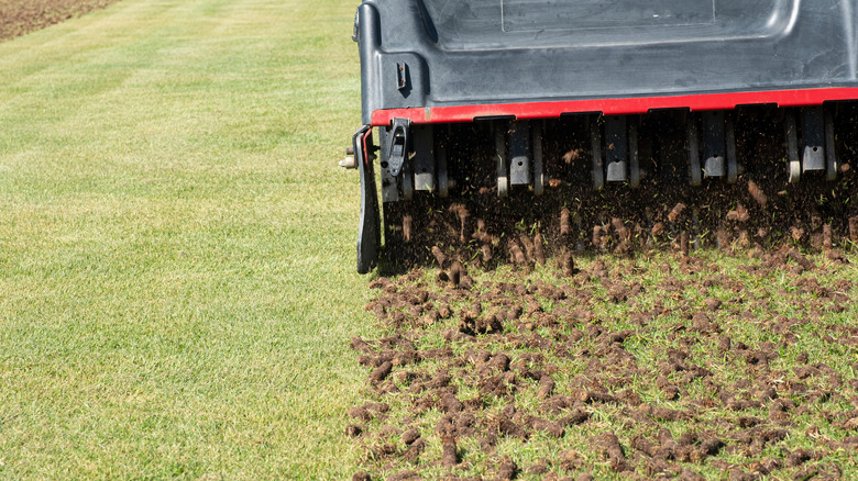 Factors to Consider When Choosing a Lawn Aerator