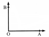 CBSE Class 6 Maths Basic Geometrical Ideas Worksheets 4