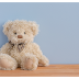 SOFT AND SHINY  TEDDY FOR KIDS