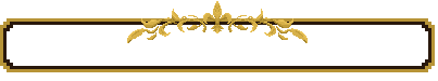 A gold and black frame