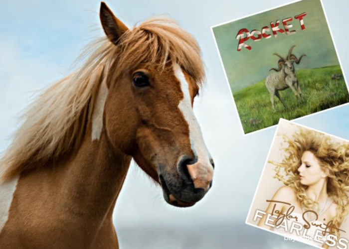 Best Horse Songs