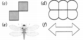 NCERT Solutions For Class 6 Maths Chapter 13 Symmetry 