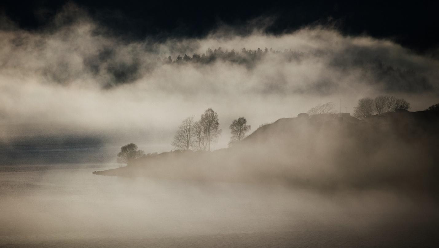 Foggy landscape with trees and clouds

Description automatically generated