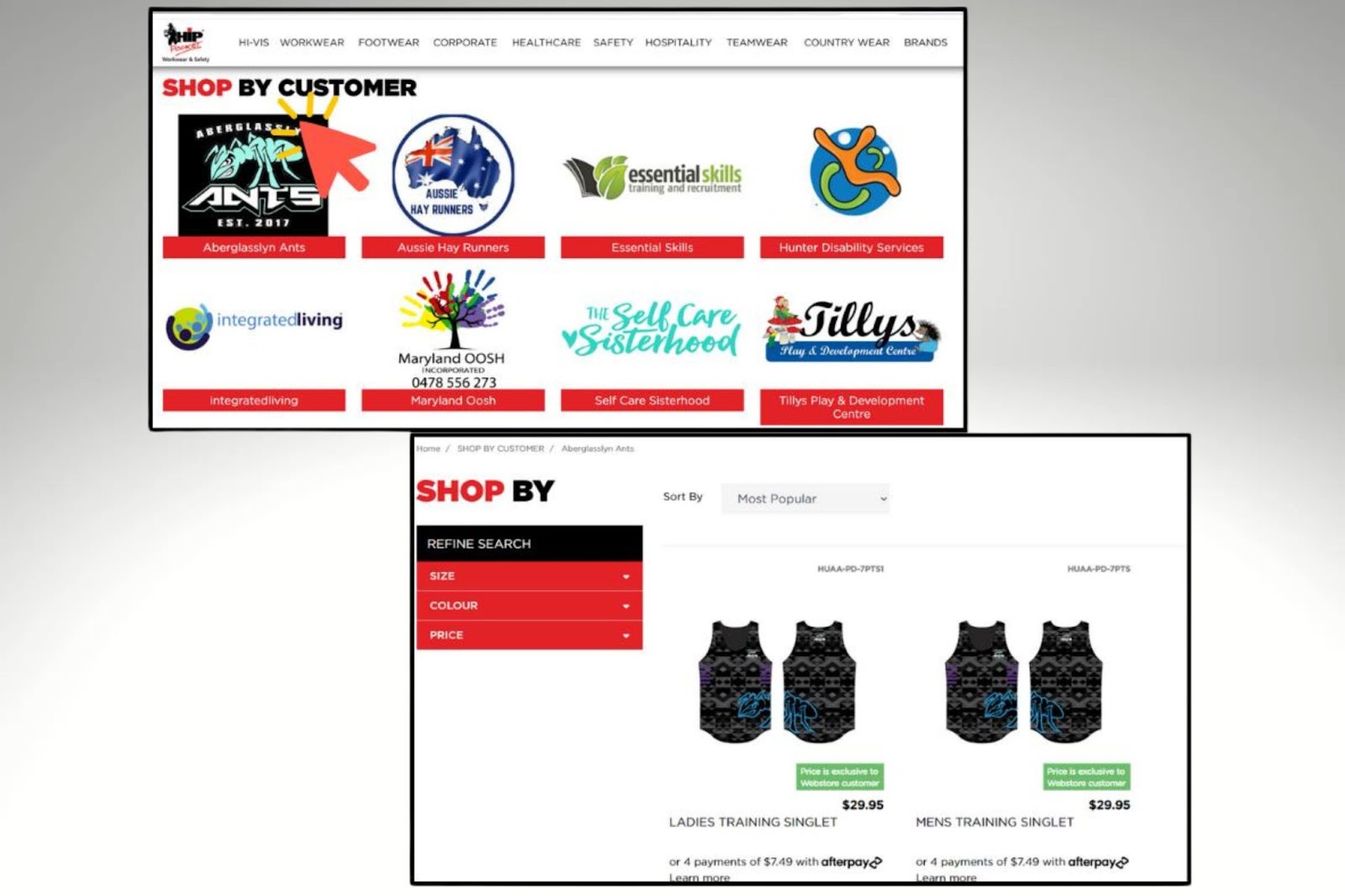 image of the specific company's webstore on the website of Hip Pocket Hunter