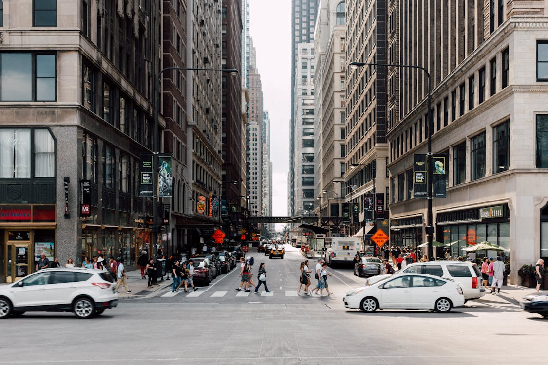 cars in the street