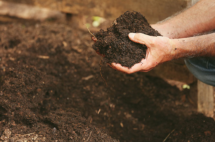 Soil Prep: The Foundation for Plant Success