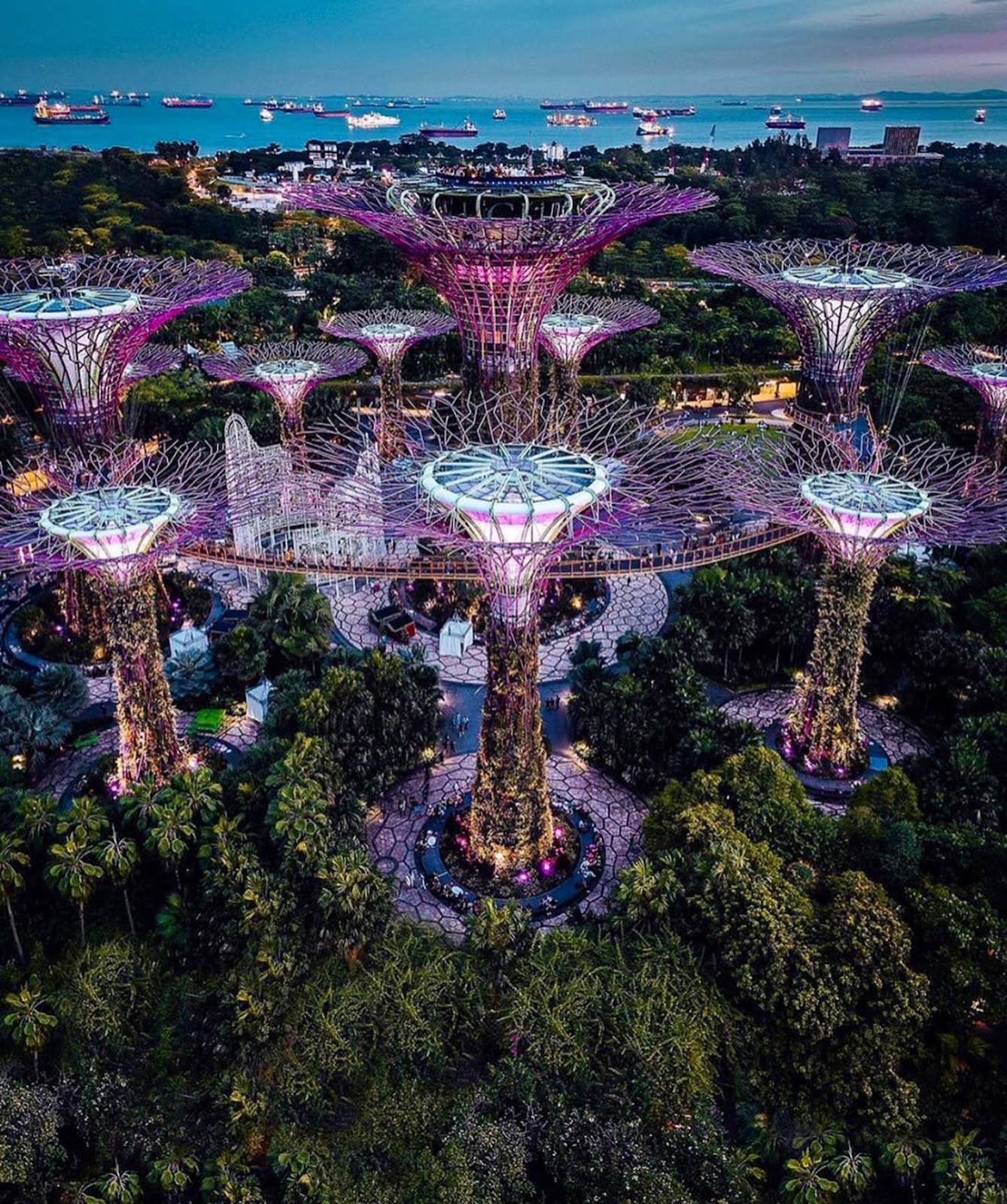Garden Rhapsody Show