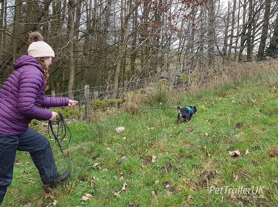 A picture containing grass, outdoor, tree

Description automatically generated
