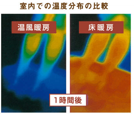 温度分布の比較