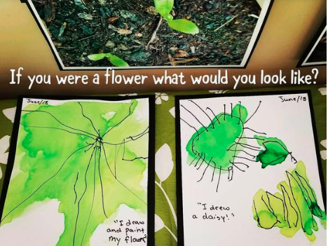 If you were a flower what would you look like?