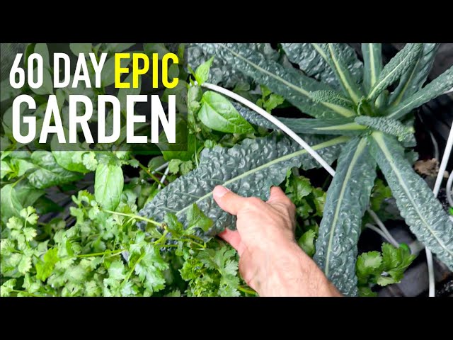 Have an epic indoor garden in no time