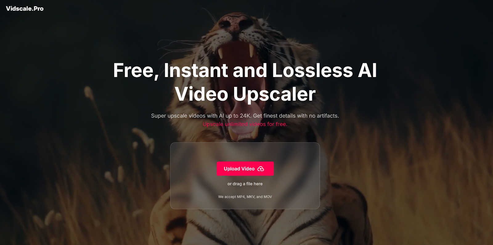 Vidscale.Pro Review An AI Video Upscaler for Effortless Enhancement