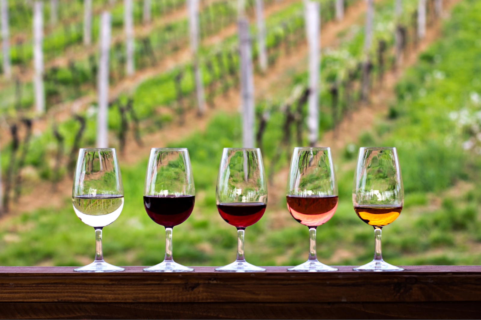Five wine glasses with different wines lined up in front of a vineyard.