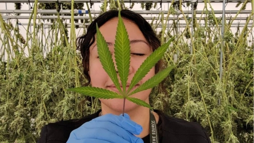 Evelyn Diaz poses with a marijuana leaf at The Source cannabis dispensary in Rogers, Arkansas.