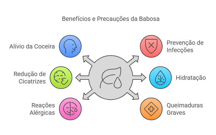 Precauções e Considerações Importantes ao Usar Babosa