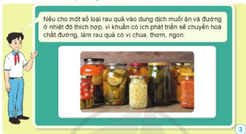 BÀI 13. VI KHUẨN CÓ ÍCH TRONG CHẾ BIẾN THỰC PHẨM