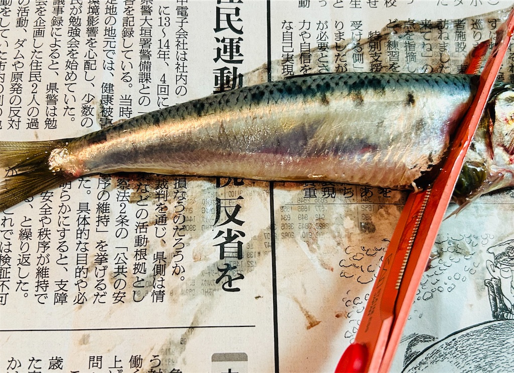 f:id:wakuwakuseikatsu:20250605223408j:image