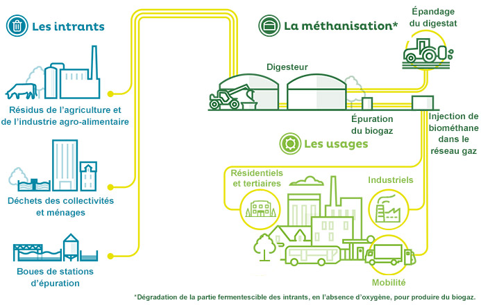 schéma processus de méthanisation 