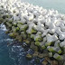 Experience the Magic of Breakwater Mystic: A Coastal Retreat Like No Other