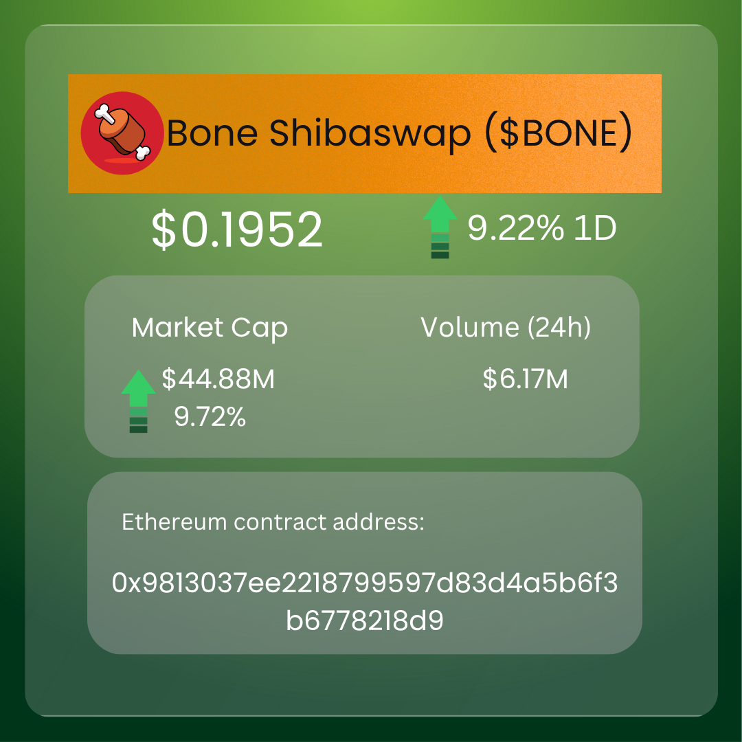 Shiba Inu Surge: Breaking Down Trends, Burning Tokens & Charging Ahead