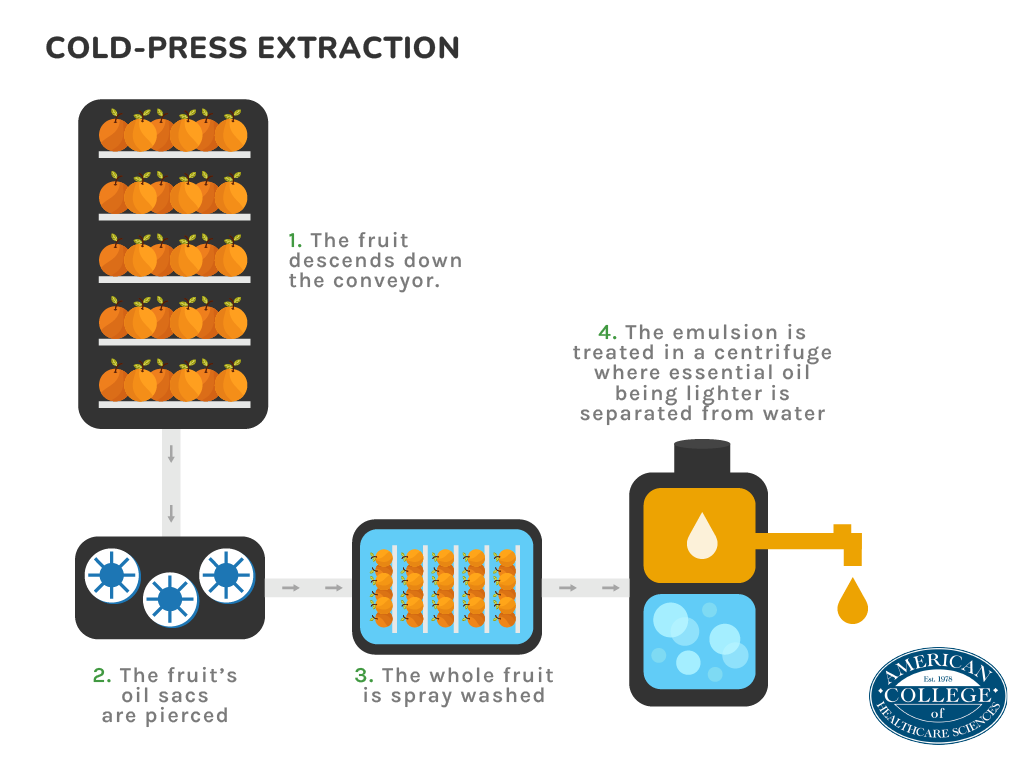 Cold-press extraction infographic