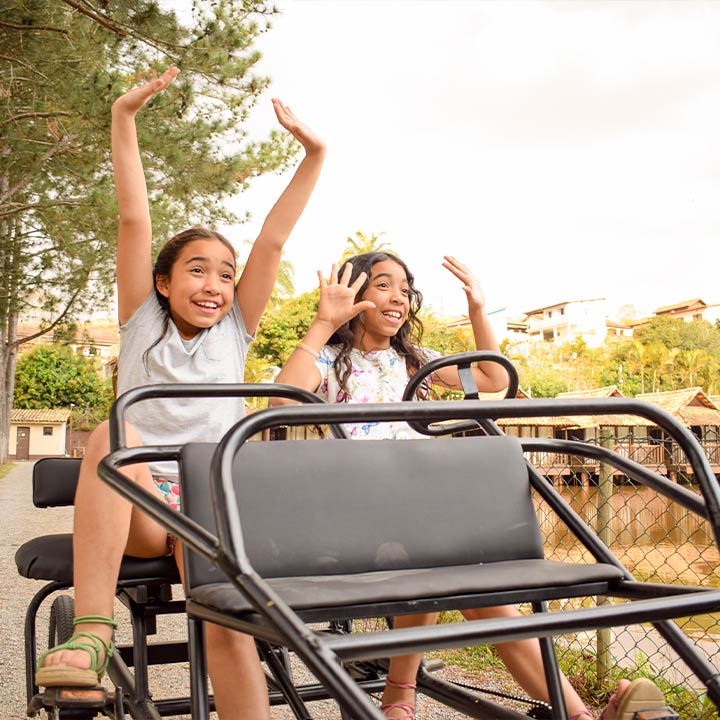Duas meninas felizes brincando de carrinho de pedal ao ar livre em um dia ensolarado, rodeadas de natureza e casas no plano de fundo.