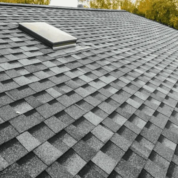 Residential Roofing: What You Need to Know for Your Home