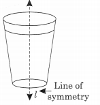 NCERT Solutions For Class 6 Maths Chapter 13 Symmetry